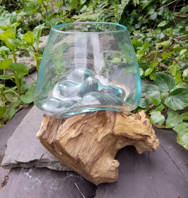 Große Gamalwurzel mit Glasschale rustikal Holzsockel rund geschmolzen Schale Ornament A4