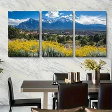 3pcs Colorado Springs Décor Nature Perfect Wall Art Canvas Framed 50x70cm
