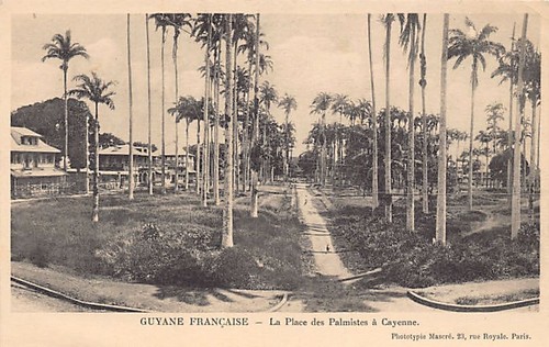 Guyane - CAYENNE - La place des palmistes - Ed. Mascré - Bild 1 von 2