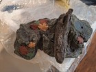 Bild 16 von 17