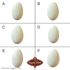 6 Empty VTG Blown Goose Eggs Blown White Shell Pysanky Butterk Two Hole