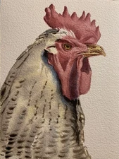 Original small watercolor Chicken painting Rooster wall art farm animal decor