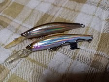 Zaurus Rex Deep 9cm 90 Set of 2 for Cherry Salmon D-10