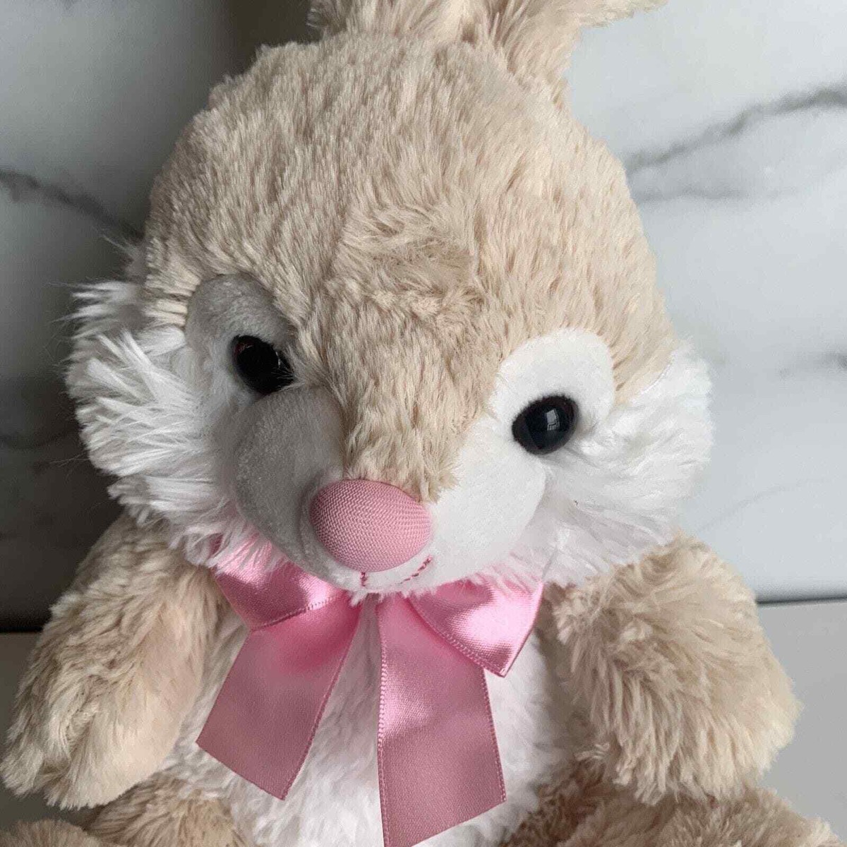 Walgreens Bunny Rabbit Plush Soft Easter 10