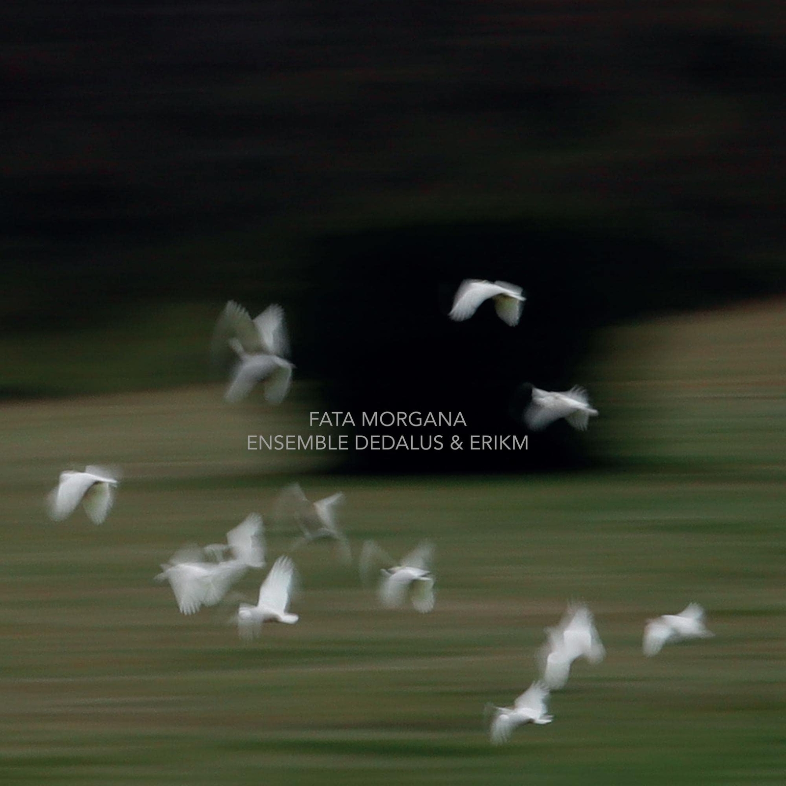 Ensemble Dedalus FATA MORGANA (CD)