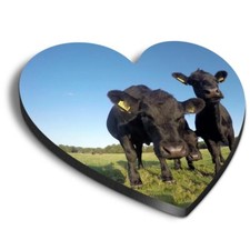 1x Heart Fridge MDF Magnet Black Aberdeen Angus Cattle Cows Bull #50266