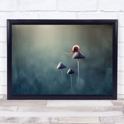 Einsame Schnecke Pilz Tier Bokeh Entdecker Erkunden Wandkunstdruck