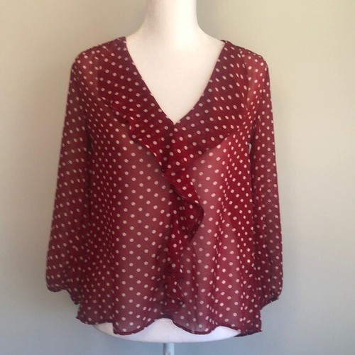 ZARA Polka dot sheer V Neck Long Sleeve 