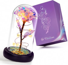 Childom Valentines Gifts for Her,Birthday Gifts for Women,Valentines Day Flowers