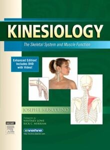 Kinesiology: The Skeletal System and Muscle Function [Wi... | Buch | Zustand gut