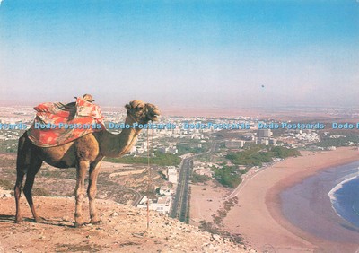 D242717 Agadir Panoramablick auf die Bucht von Agadir Casa Bilder Ryger
