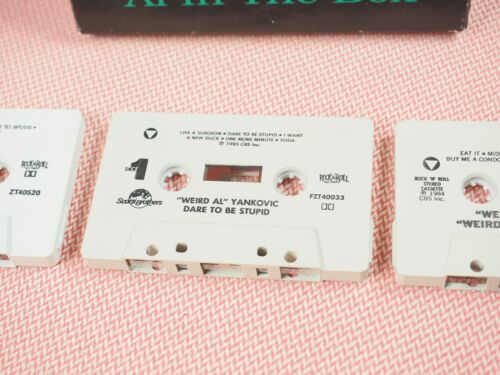 Permanent Record: Al in the Box Weird Al Yankovic Box and Booklet Only + Tapes - Foto 4 di 12