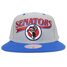 Washington Senators Mitchell & Ness MLB Snapback Hat Cap 3D Logo Gray Blue NWT