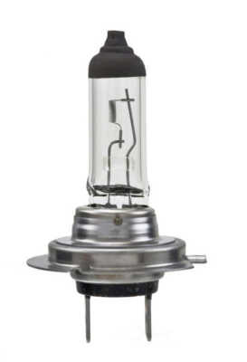 H7 Long Life Headlight Bulb 12V 55W Hella H7LL