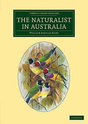 The Naturalist in Australia Saville-Kent Paperback Cambridge University Press
