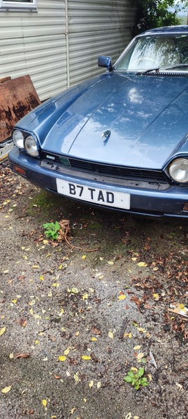 eBay - JAGUAR XJR-S Sport 5.3 V12 C...