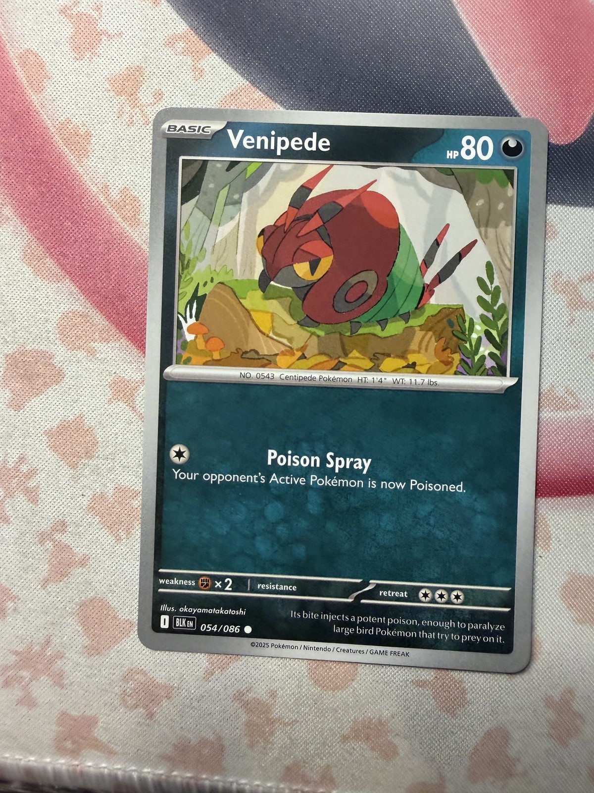 Venipede Common SV: Black Bolt 054/086 NM English Pokemon Card