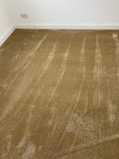 carpet for bedroom, hallway or living area gold honey colour