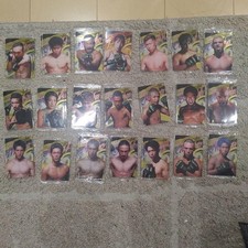 Rizin Wafers Card Set 5 Collectible Cards Rizin Wafers Card Set 5 Collectible Cards