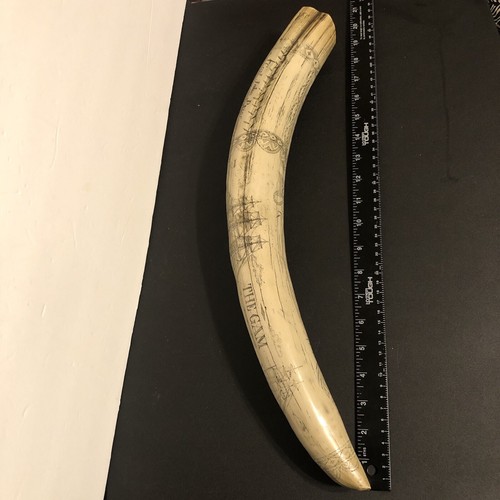 Scrimshaw walrus Tusk RESIN REPLICA the ship "NIGER AND SEA FOX" - Picture 2 of 7