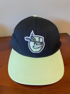 tincaps hat