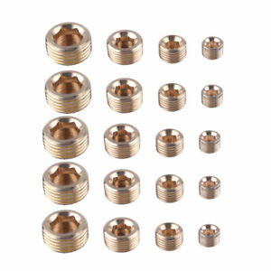 20Pcs/set NPT Brass Internal Hex Thread Socket Pipe Plug 1/8" 1/4" 3/8" 1/2"