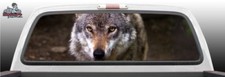 Wolf Eyes Nature Staring Perforated Rear Window Graphic Decal SUV Car Truck