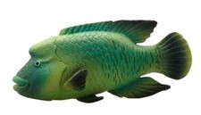 Napoleon Fish Humphead Wrasse - Marine Wildlife Nature Toy