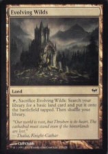 Evolving Wilds - Dark Ascension: #155, Magic: The Gathering Lp R234