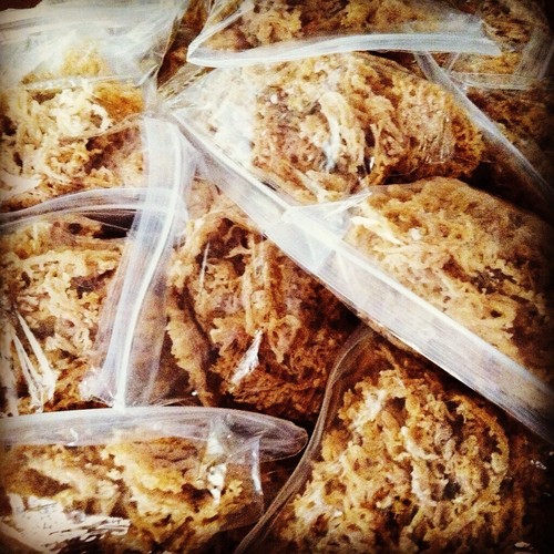  Jamaican DR SEBI Irish Moss Sea Moss 8 OZ | Raw Wild VEGAN Superfood - Bild 7 von 8