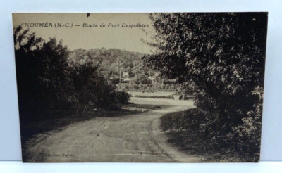 Route de Port Despointes Vintage Postcard