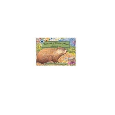Woodchuck at Blackberry Road by C. Drew Lamm (1994, Hardcover)