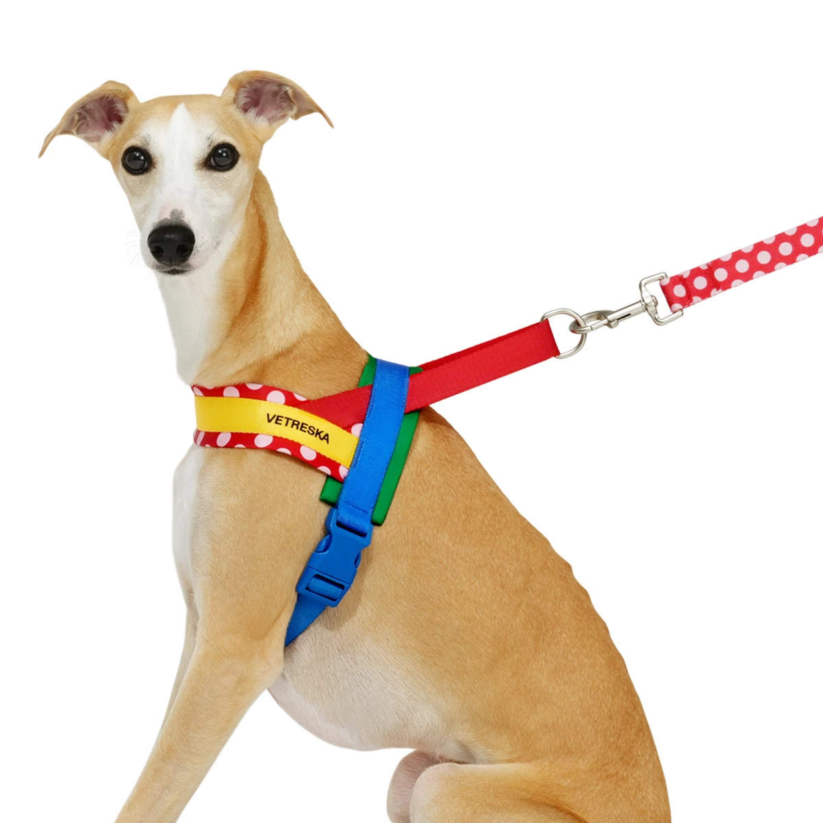 Dog Harness & Leash Set