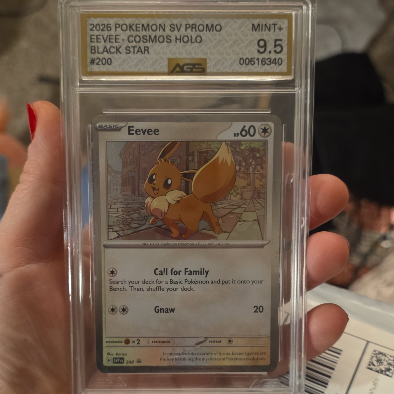 Pokémon Eevee SVP200 Cosmos Holo Black Star Promo AGS 9.5 Scarlet & Violet