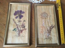 2 Tableaux Bouquets de Fleurs Composition Herbier Encadrés Anciens