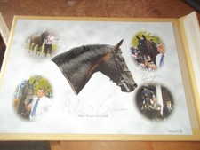 'Yeats' Royal Ascot 2009 Limited Edition Print sign A O'Brien & Murtagh 42 / 100