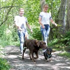 Bild 4 von 7