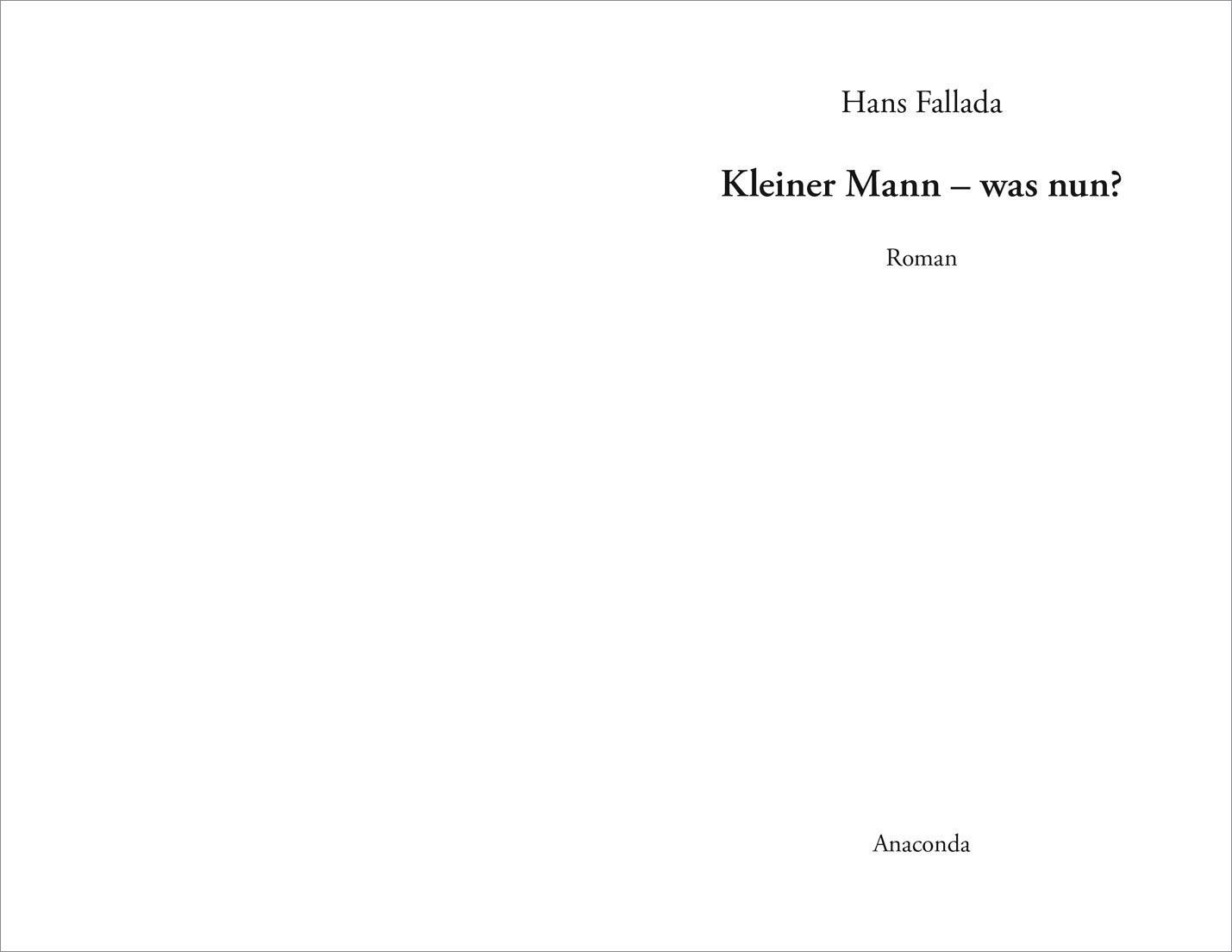 Thumbnail - Kleiner Mann - Was Nun? (roman), Hans Fallada