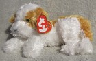 Ty Beanie Baby Darling the Dog Dob August 22, 2000 Mwmt Free Shipping