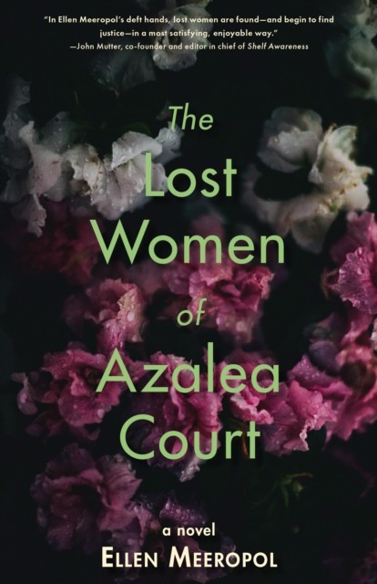 The Lost Women of Azalea Court by Ellen Meeropol (Paperback Book)