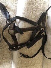 Horse Halter