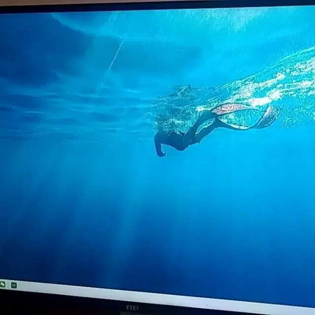 Haeundae Ocean View Hotel Stay Transfer - January 17