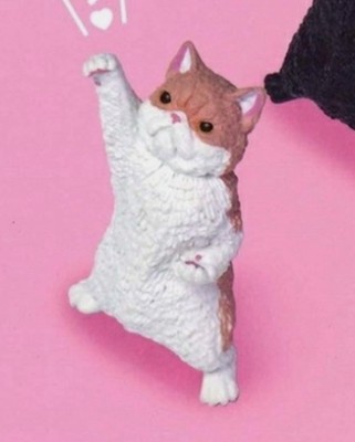 Yell NYAoooo!2 Mini Cat Figure Collection Gasha Toy Exotic Shorthair Cat