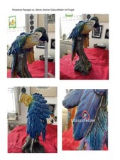 Porzellan Papagei , ca 50cm, Glasurfehler , Detailbilder folgen