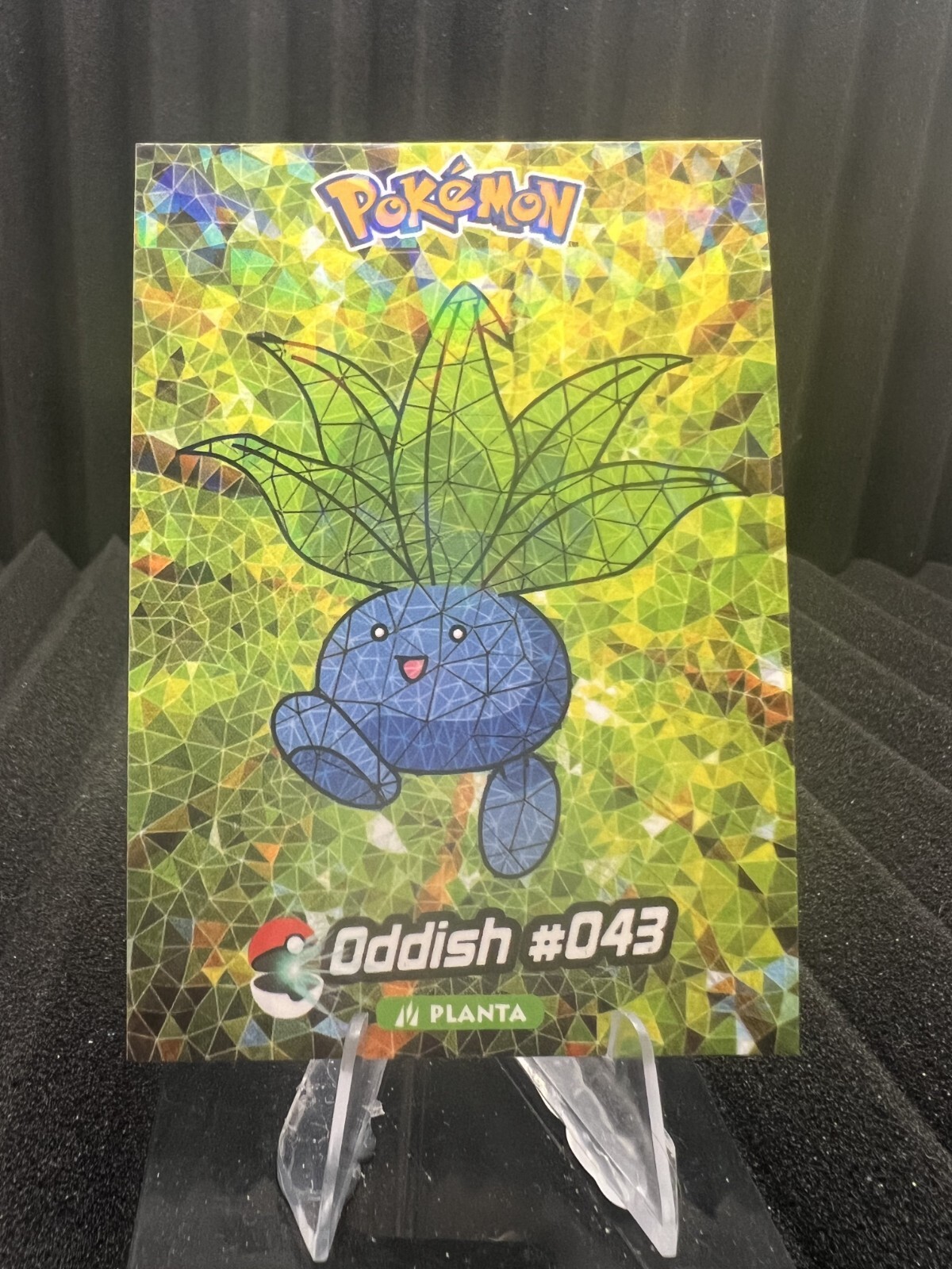 Oddish #43 - Cracked Ice Holo - Crystal Collection 2024 - Pokemon Card