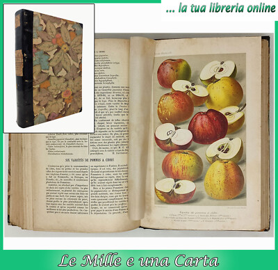 altes Buch der Agrarbotanik Blumenzucht Baumzucht REVUE HORTICOLE 1896
