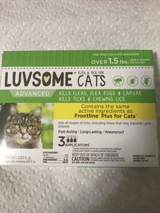 german shepherd second coat