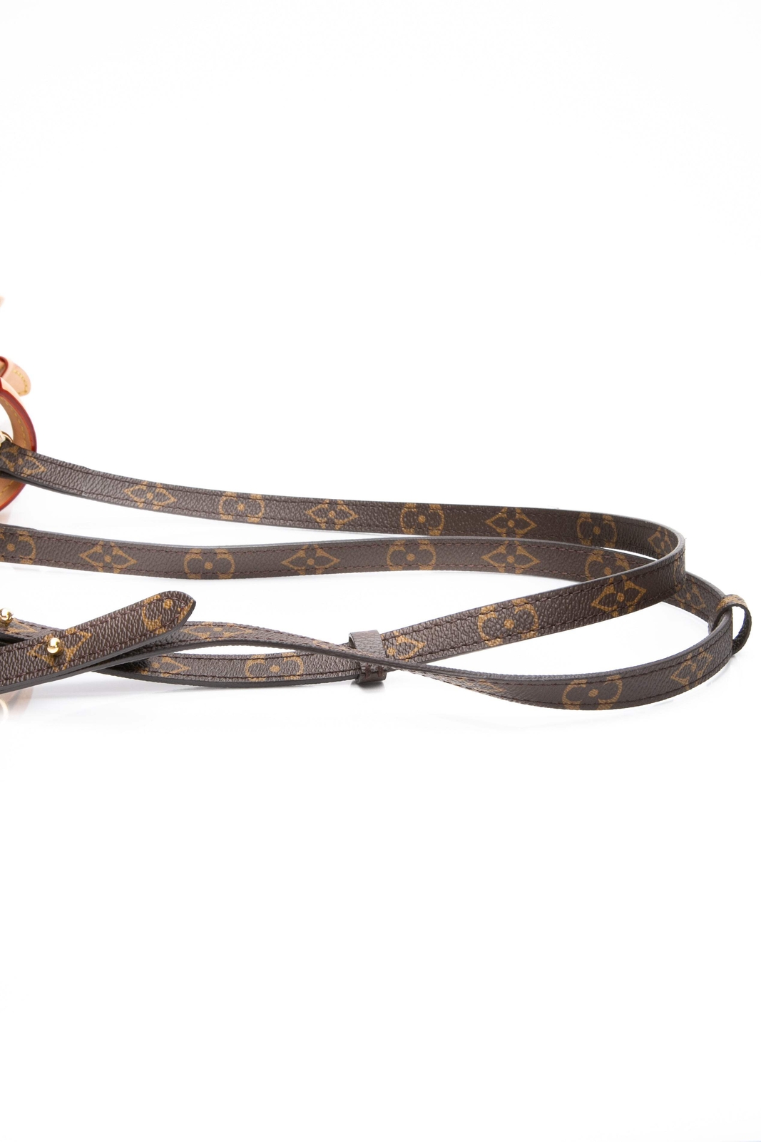 LOUIS VUITTON Monogram Excursion PM Backpack - image 13