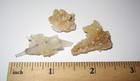 3 SMALL RARE NATURAL 0.75"-1.4" SCOLECITE & GOLDEN CALCITE CRYSTAL CLUSTERS 8.5g — photo 9