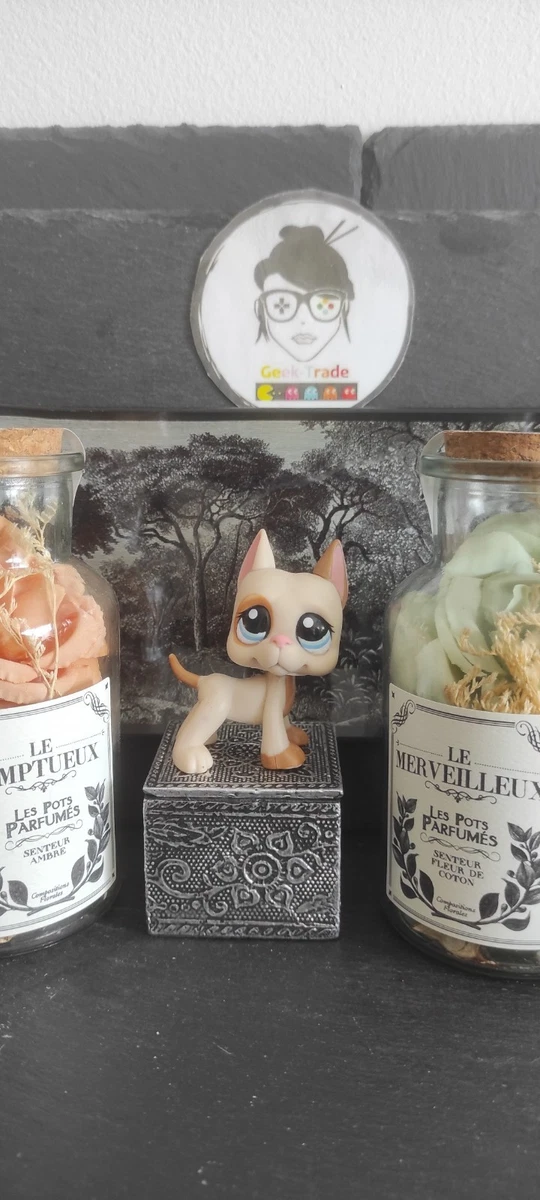 Lot de Petshop chien danois - Jeux & Jouets
